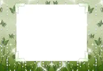 Fotografický efekt z kategorie Různé № 196623