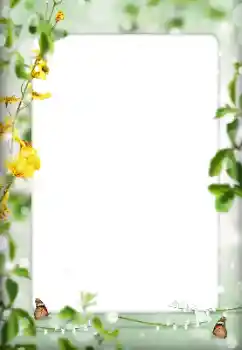 Fotografický efekt z kategorie Různé № 198822