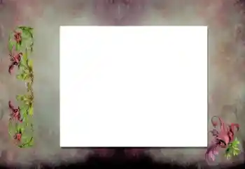 Fotografický efekt z kategorie Různé № 198919