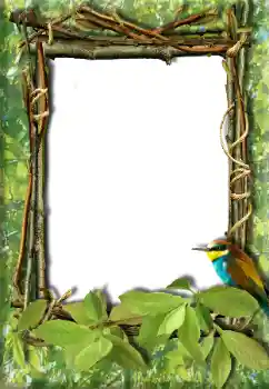 Fotografický efekt z kategorie Různé № 20272
