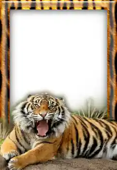 Fotografický efekt z kategorie Různé № 20297