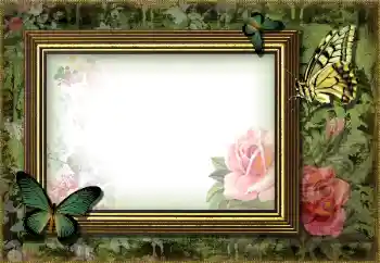 Fotografický efekt z kategorie Různé № 203270