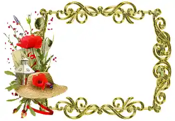 Fotografický efekt z kategorie Různé № 205358