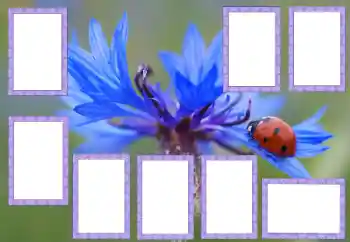 Fotografický efekt z kategorie Různé № 205529