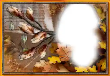 Fotografický efekt z kategorie Různé № 205533 Fotografický efekt z kategorie Různé № 205533