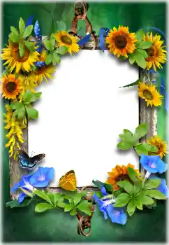 Fotografický efekt z kategorie Různé № 205611 Fotografický efekt z kategorie Různé № 205611