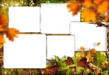 Fotografický efekt z kategorie Různé № 205794 Fotografický efekt z kategorie Různé № 205794