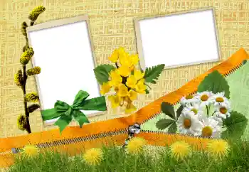 Fotografický efekt z kategorie Různé № 24285
