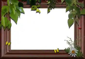 Fotografický efekt z kategorie Různé № 24288