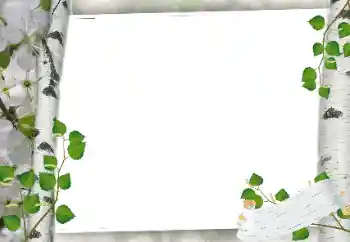 Fotografický efekt z kategorie Různé № 24319