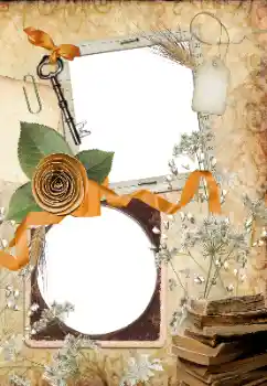 Fotografický efekt z kategorie Různé № 33766