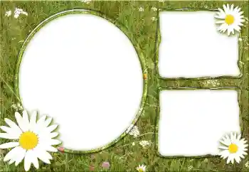 Fotografický efekt z kategorie Různé № 34932