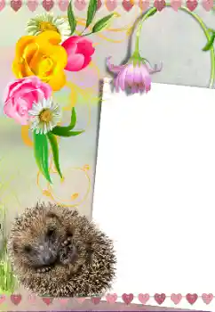 Fotografický efekt z kategorie Různé № 39281 Fotografický efekt z kategorie Různé № 39281