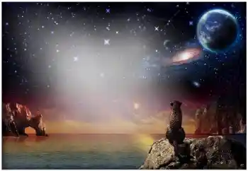 Fotografický efekt z kategorie Různé № 49504