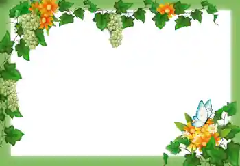 Fotografický efekt z kategorie Různé № 49547