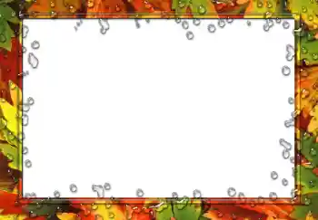 Fotografický efekt z kategorie Různé № 49551