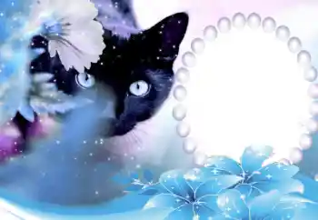 Fotografický efekt z kategorie Různé № 50647