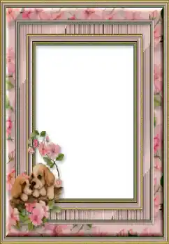 Fotografický efekt z kategorie Různé № 50746