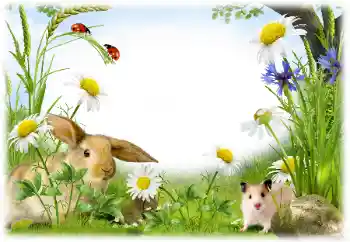 Fotografický efekt z kategorie Různé № 50899