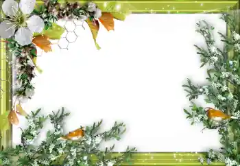 Fotografický efekt z kategorie Různé № 52034