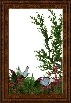 Fotografický efekt z kategorie Různé № 52231