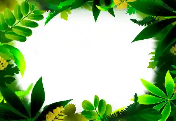 Fotografický efekt z kategorie Různé № 56530