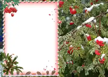 Fotografický efekt z kategorie Různé № 581