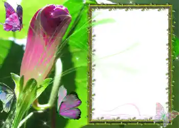 Fotografický efekt z kategorie Různé № 586 Fotografický efekt z kategorie Různé № 586
