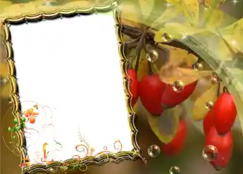 Fotografický efekt z kategorie Různé № 588 Fotografický efekt z kategorie Různé № 588