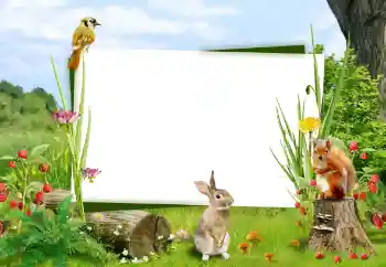 Fotografický efekt z kategorie Různé № 59008