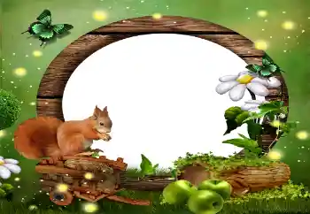 Fotografický efekt z kategorie Různé № 59010