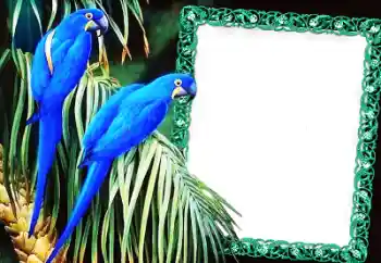 Fotografický efekt z kategorie Různé № 60137