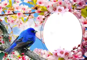 Fotografický efekt z kategorie Různé № 60139