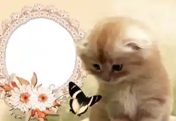 Fotografický efekt z kategorie Různé № 60142