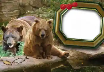 Fotografický efekt z kategorie Různé № 60215