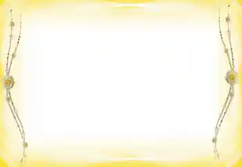 Fotografický efekt z kategorie Různé № 60289