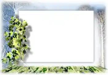 Fotografický efekt z kategorie Různé № 62634