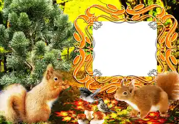 Fotografický efekt z kategorie Různé № 64207