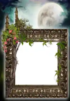 Fotografický efekt z kategorie Různé № 64455