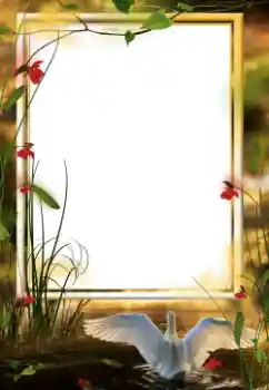 Fotografický efekt z kategorie Různé № 64458