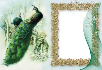 Fotografický efekt z kategorie Různé № 64460