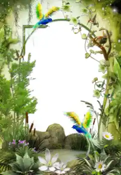 Fotografický efekt z kategorie Různé № 64461