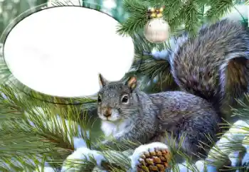 Fotografický efekt z kategorie Různé № 65735