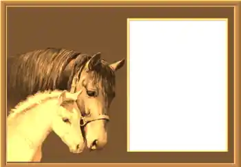 Fotografický efekt z kategorie Různé № 67145