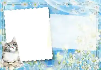 Fotografický efekt z kategorie Různé № 67194