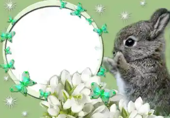 Fotografický efekt z kategorie Různé № 67247