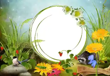 Fotografický efekt z kategorie Různé № 68455