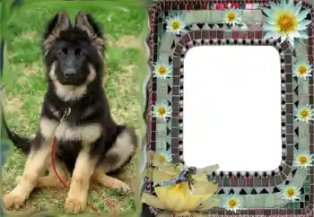 Fotografický efekt z kategorie Různé № 68616