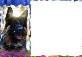 Fotografický efekt z kategorie Různé № 68617