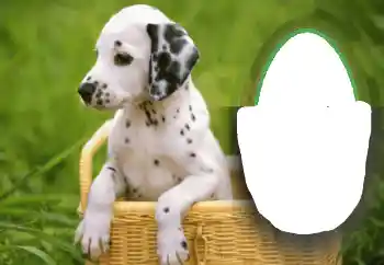 Fotografický efekt z kategorie Různé № 68648